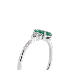 Anillo Andreina