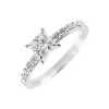 Anillo Dani