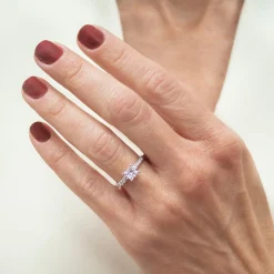 Anillo Dani