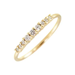 Anillo Degradé