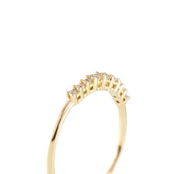 Anillo Degradé