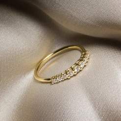Anillo Degradé