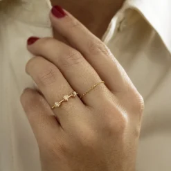 Anillo Jordana