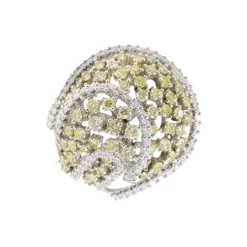 Anillo Salua