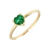 Anillo Suri