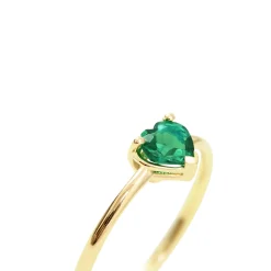 Anillo Suri