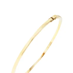Brazalete esclava