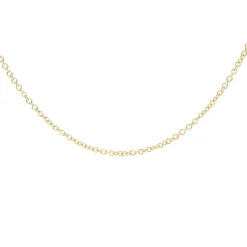 Cadena Forzada Maxi